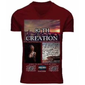 I14385 REMERA MANGA CORTA 87 TH CREATION | PANTHER