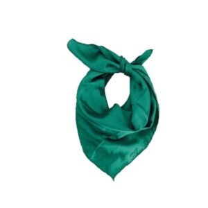 1500 PAÑUELO GREEN / VERDE | PAW